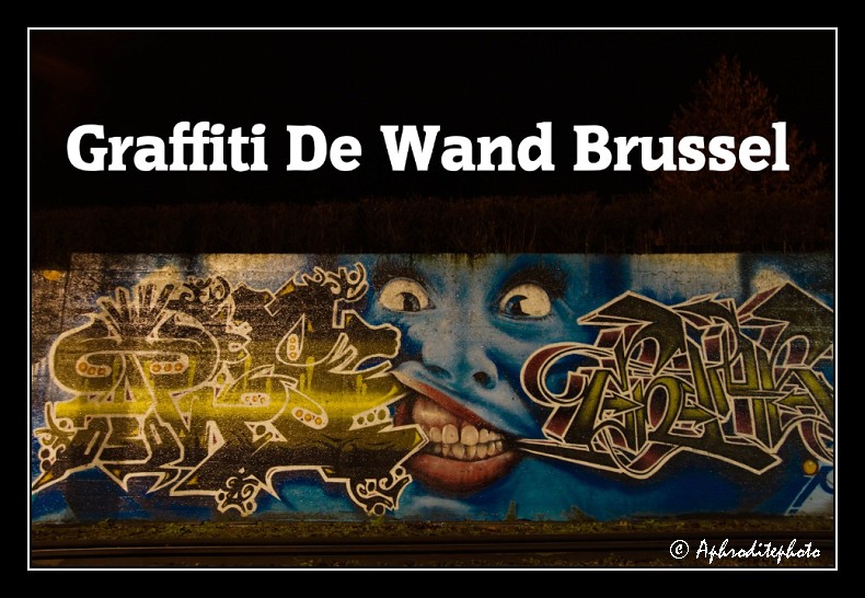 Graffiti De Wand Brussel 2014